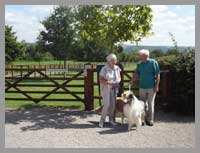 dog walk image