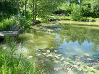 fishing lake at somerset touring park