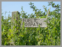 more information about guided wildlife walks at shapwick heath